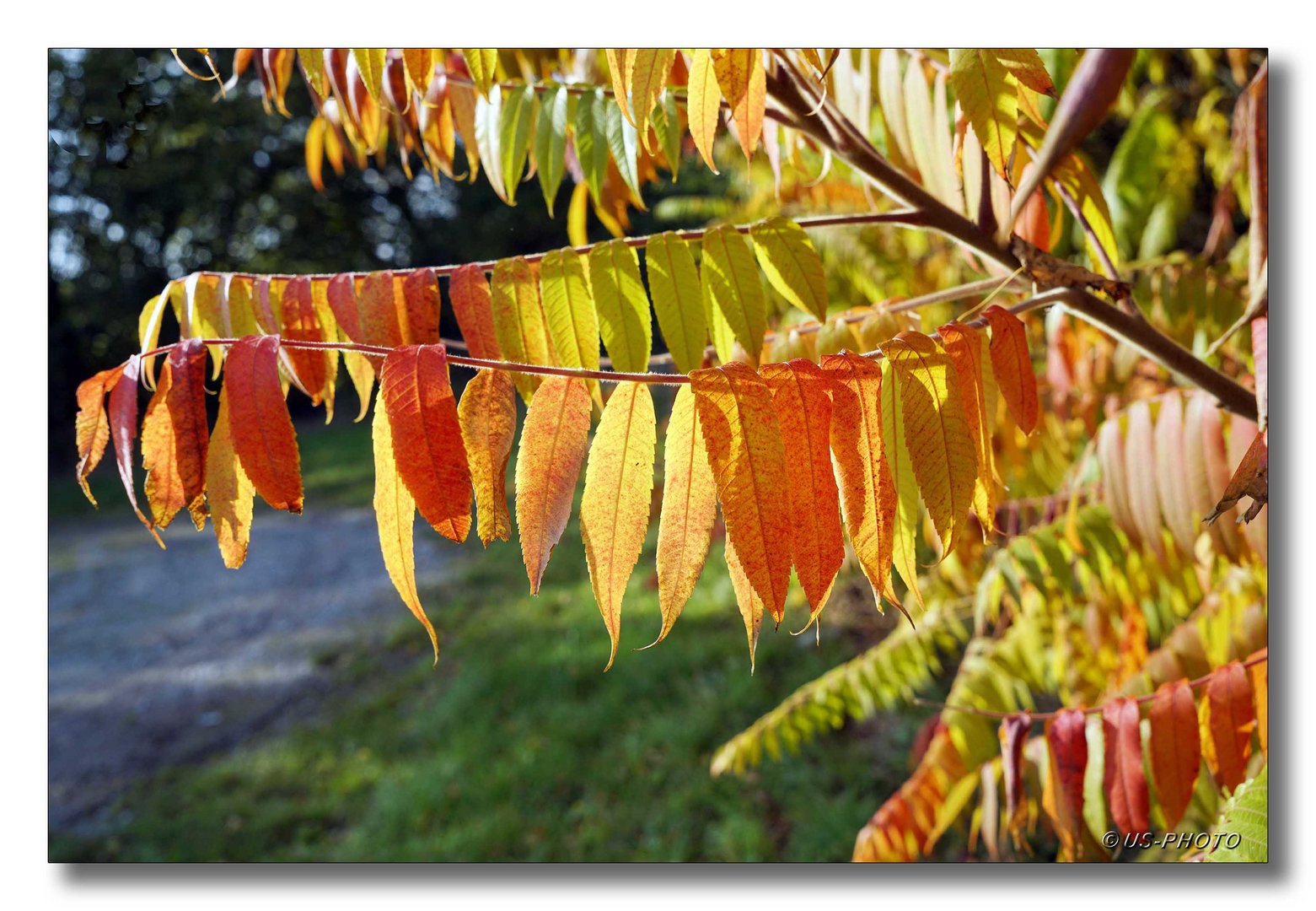 Herbstzeit