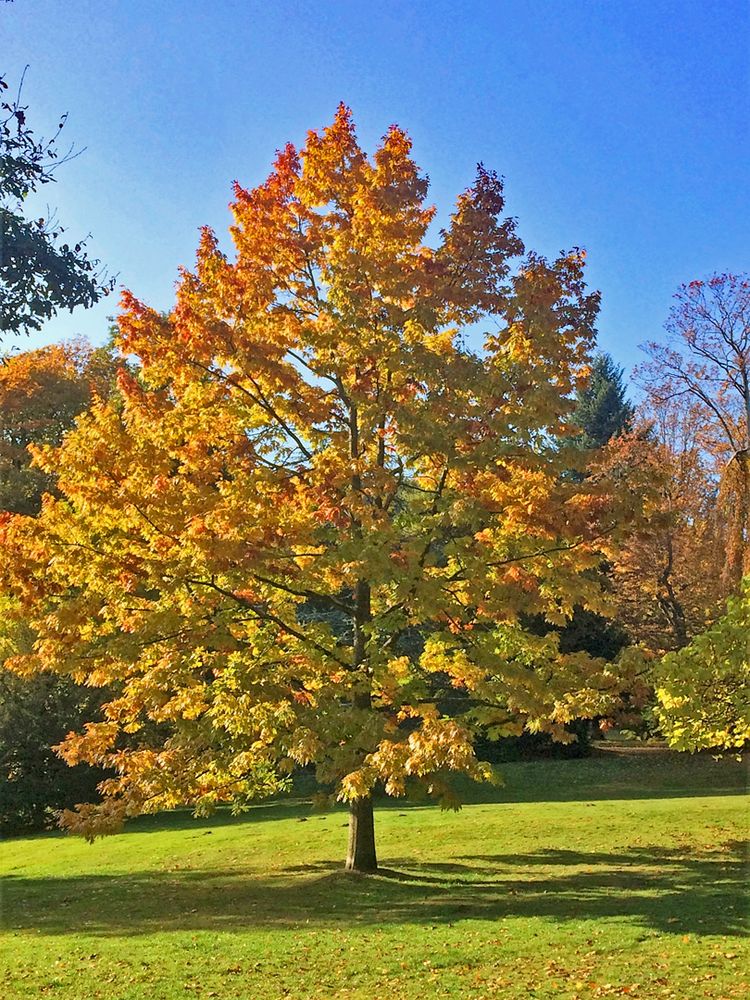 Herbstzeit