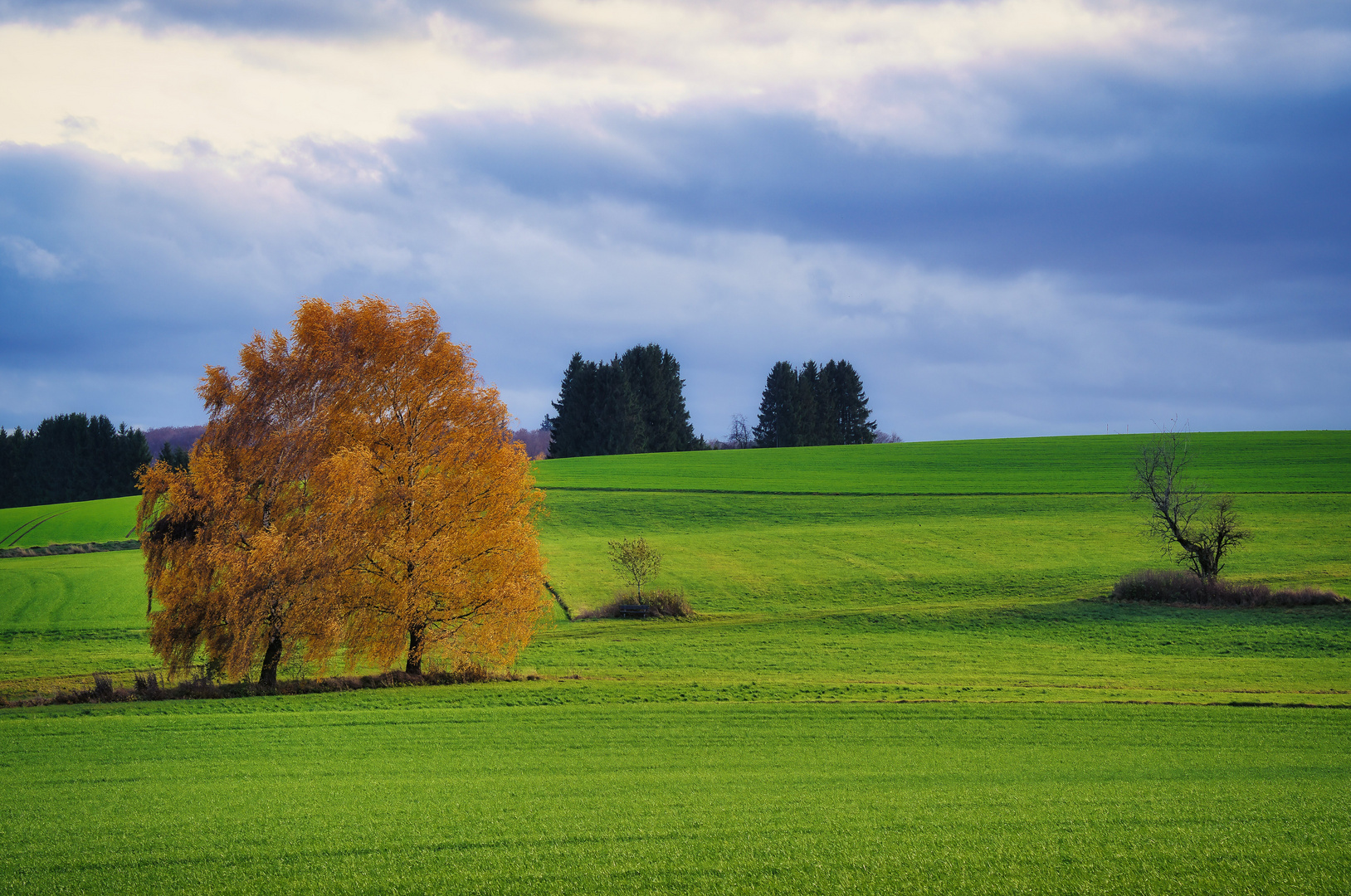 Herbstzeit