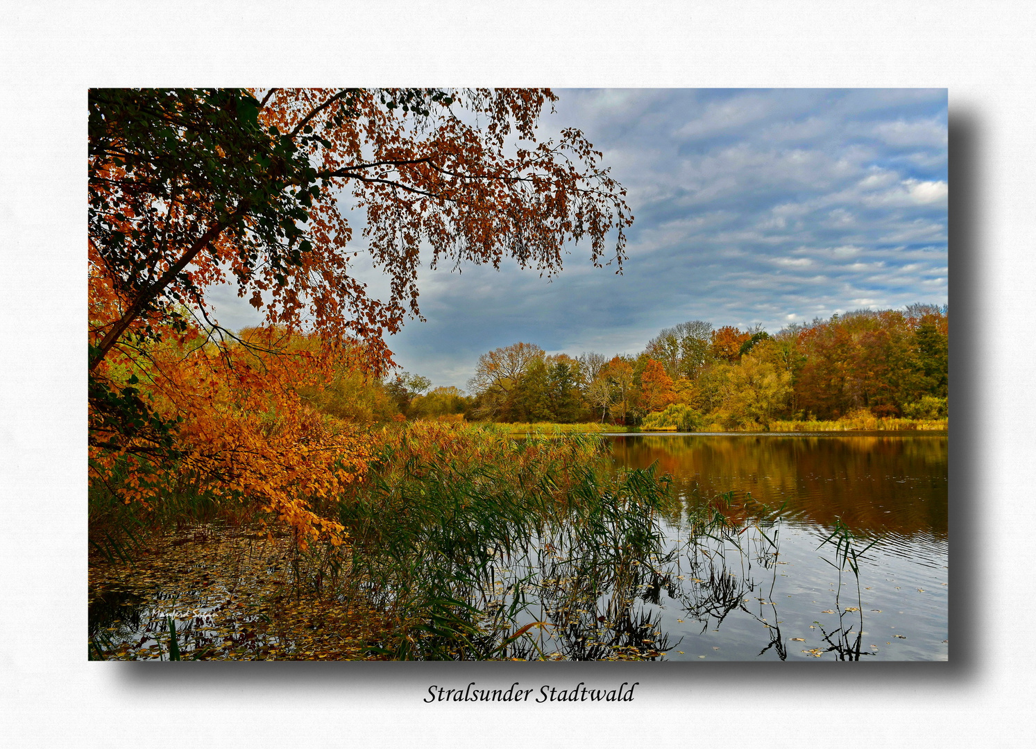 Herbstzeit...