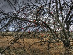 Herbstzeit