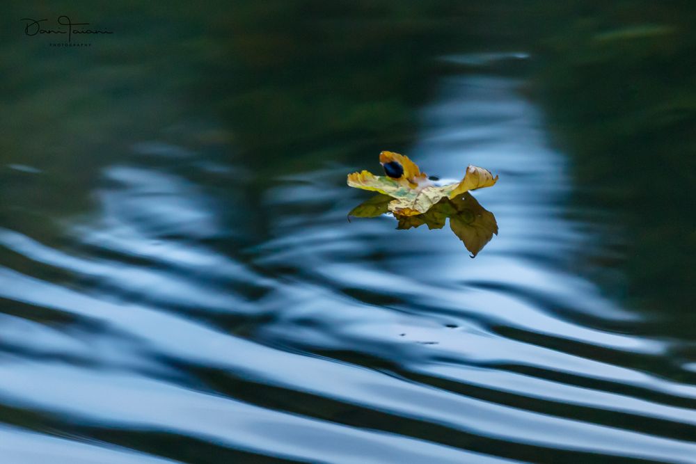 Herbstzeit