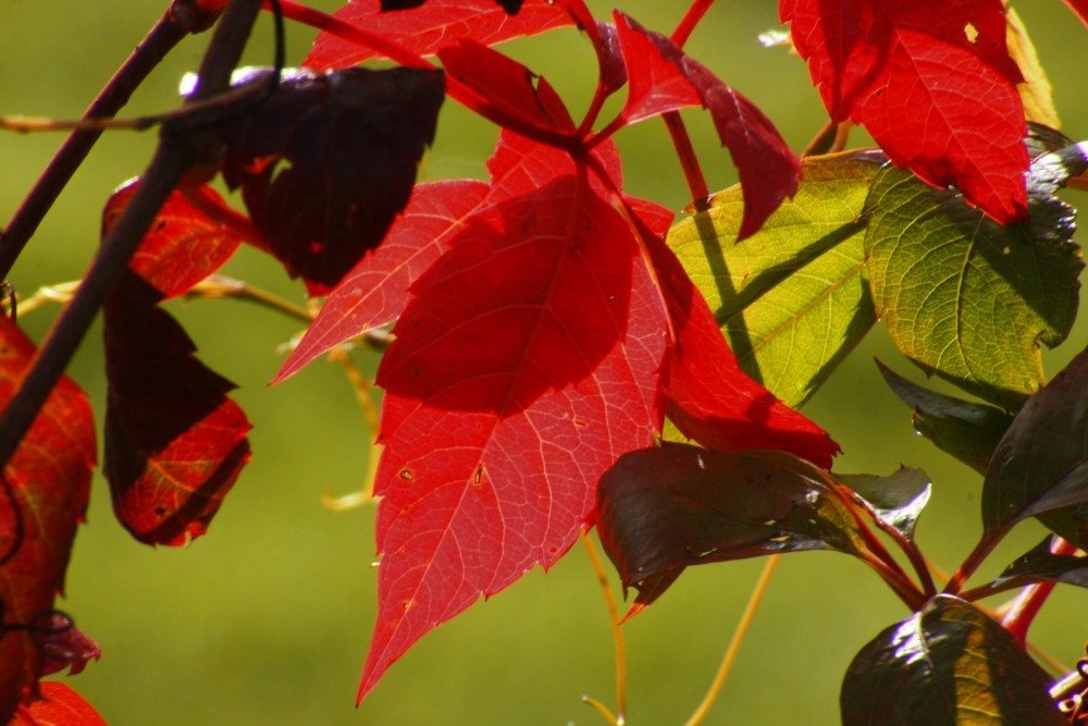 Herbstzeit