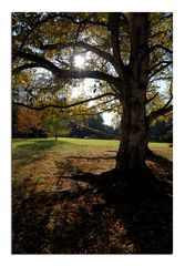 Herbstzeit