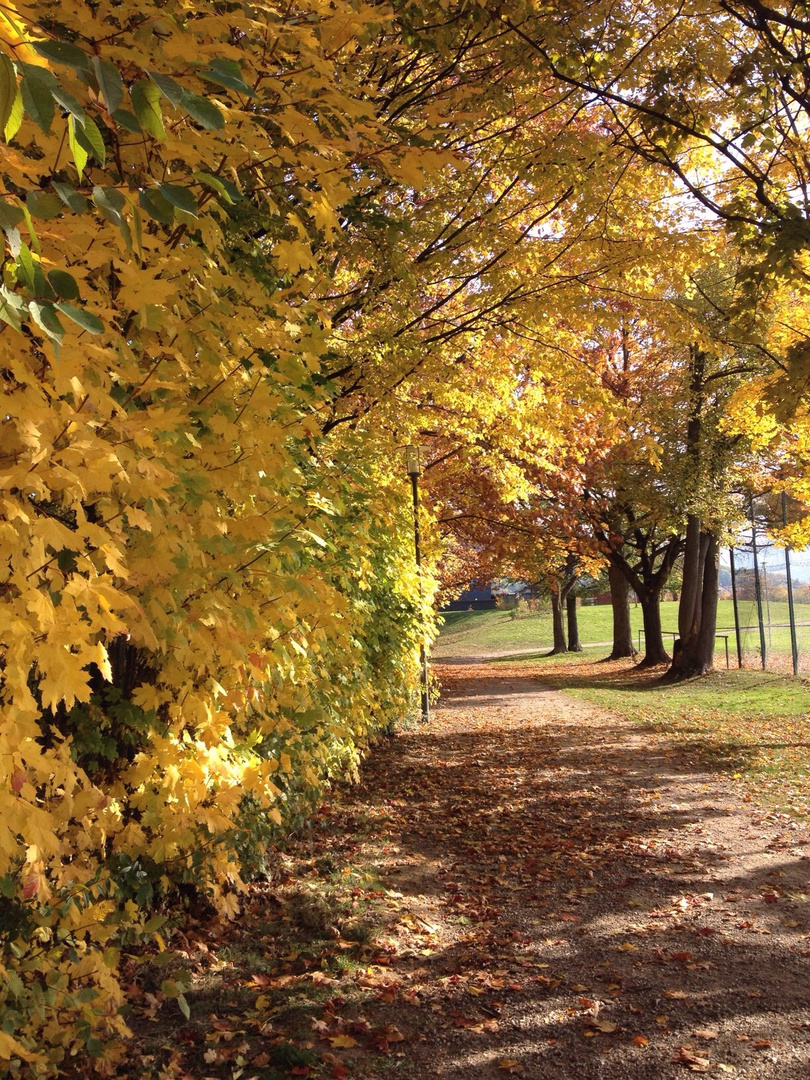 Herbstzeit