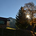 Herbstzeit 1