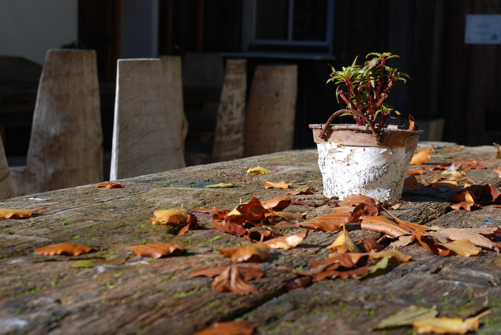 Herbstzeit