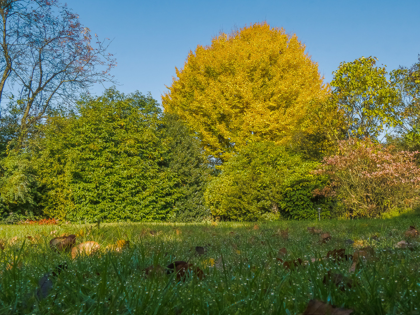 Herbstzeit (13)