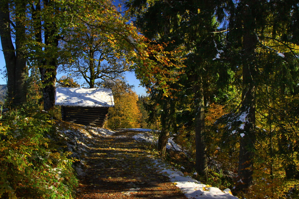 Herbstzeit