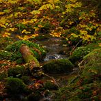 Herbstzeit