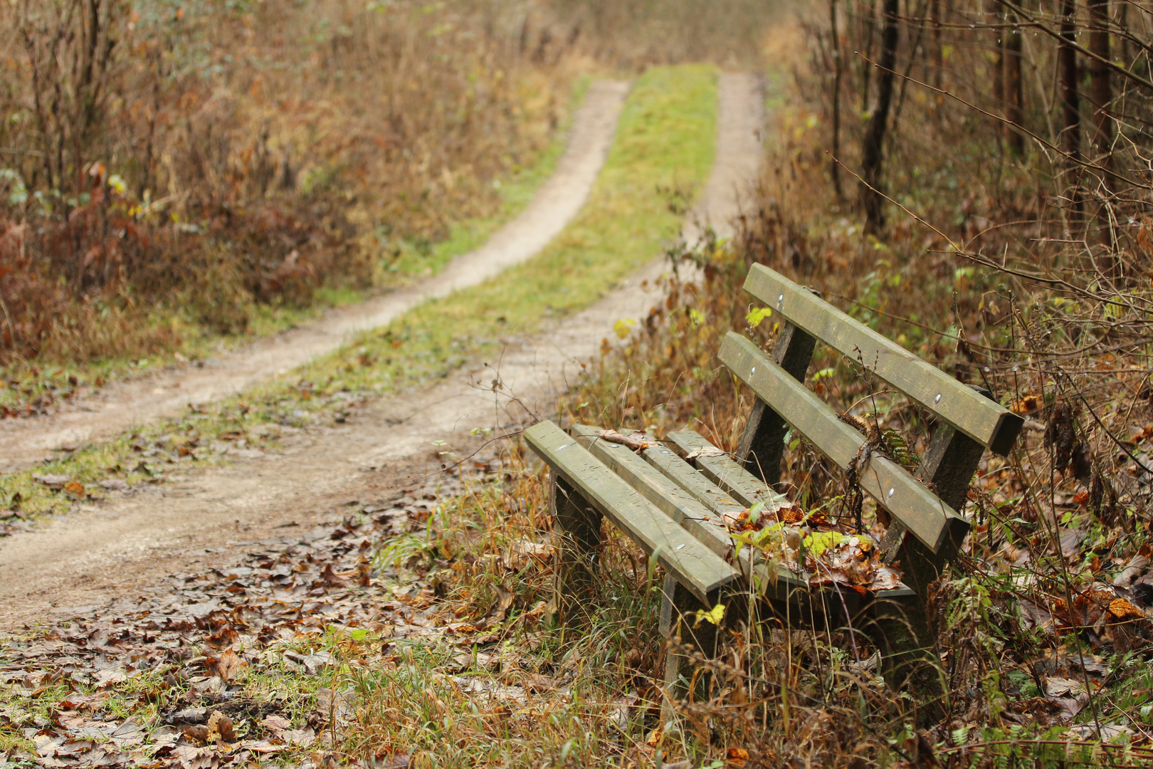 Herbstzeit