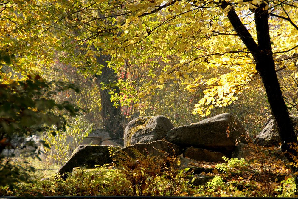 Herbstzeit