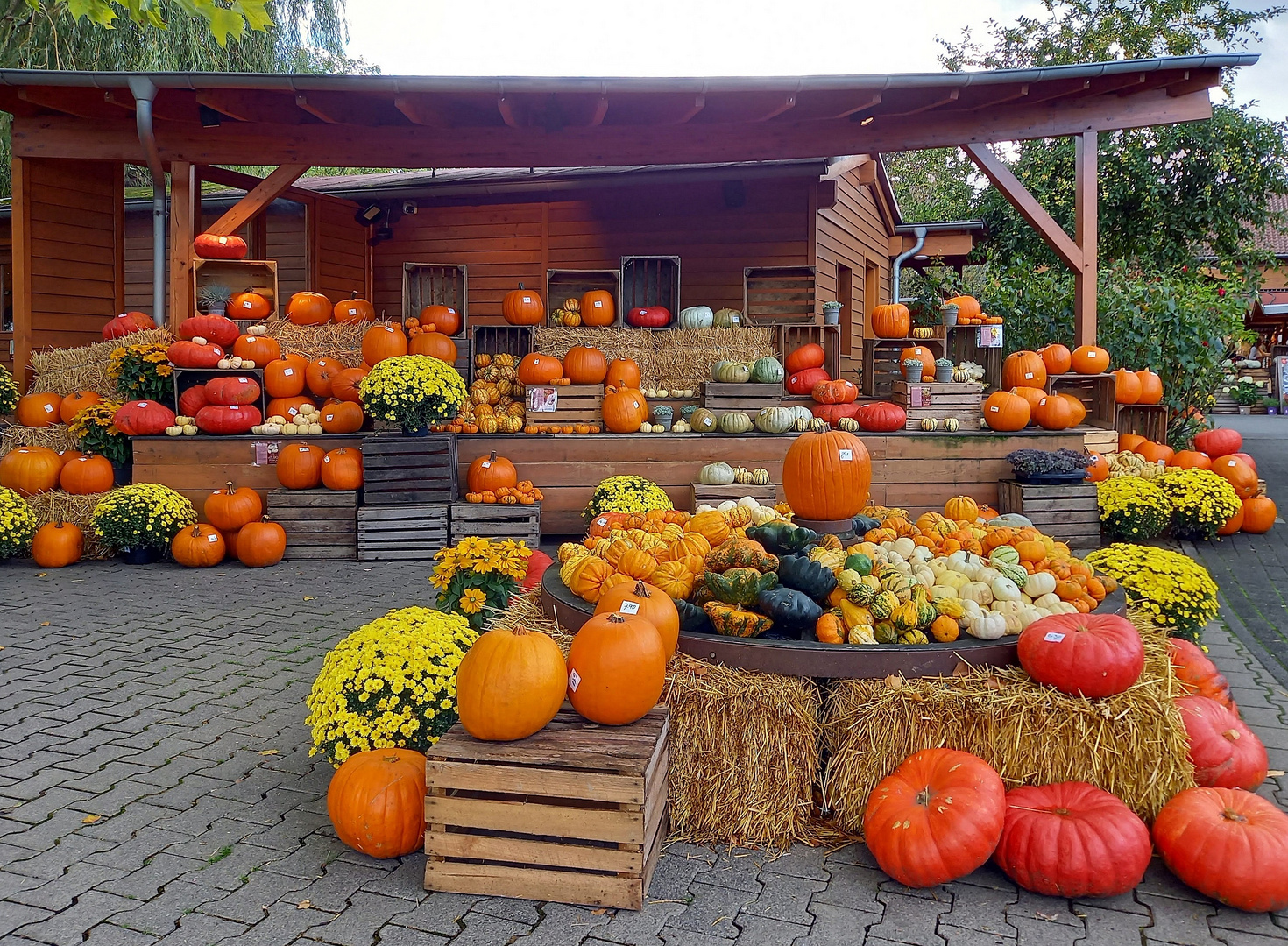 Herbstzeit