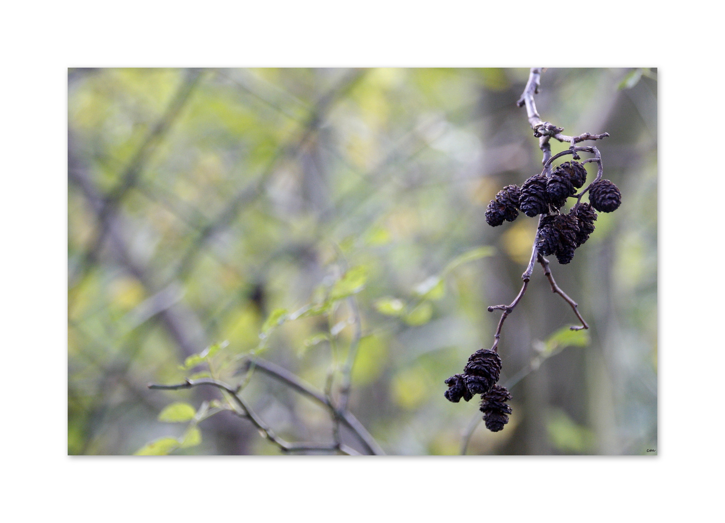 ** Herbstzeit **