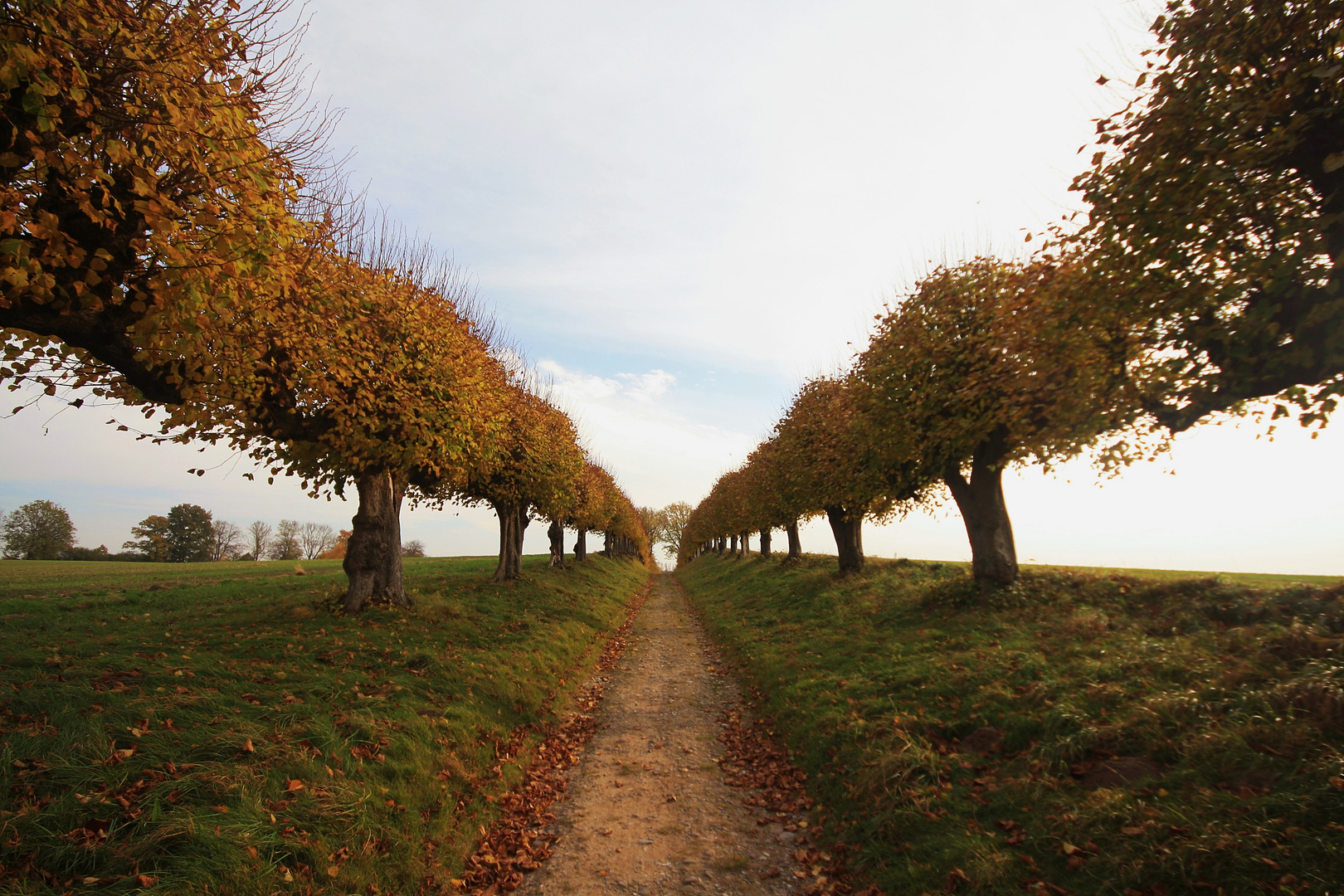 Herbstzeit .......