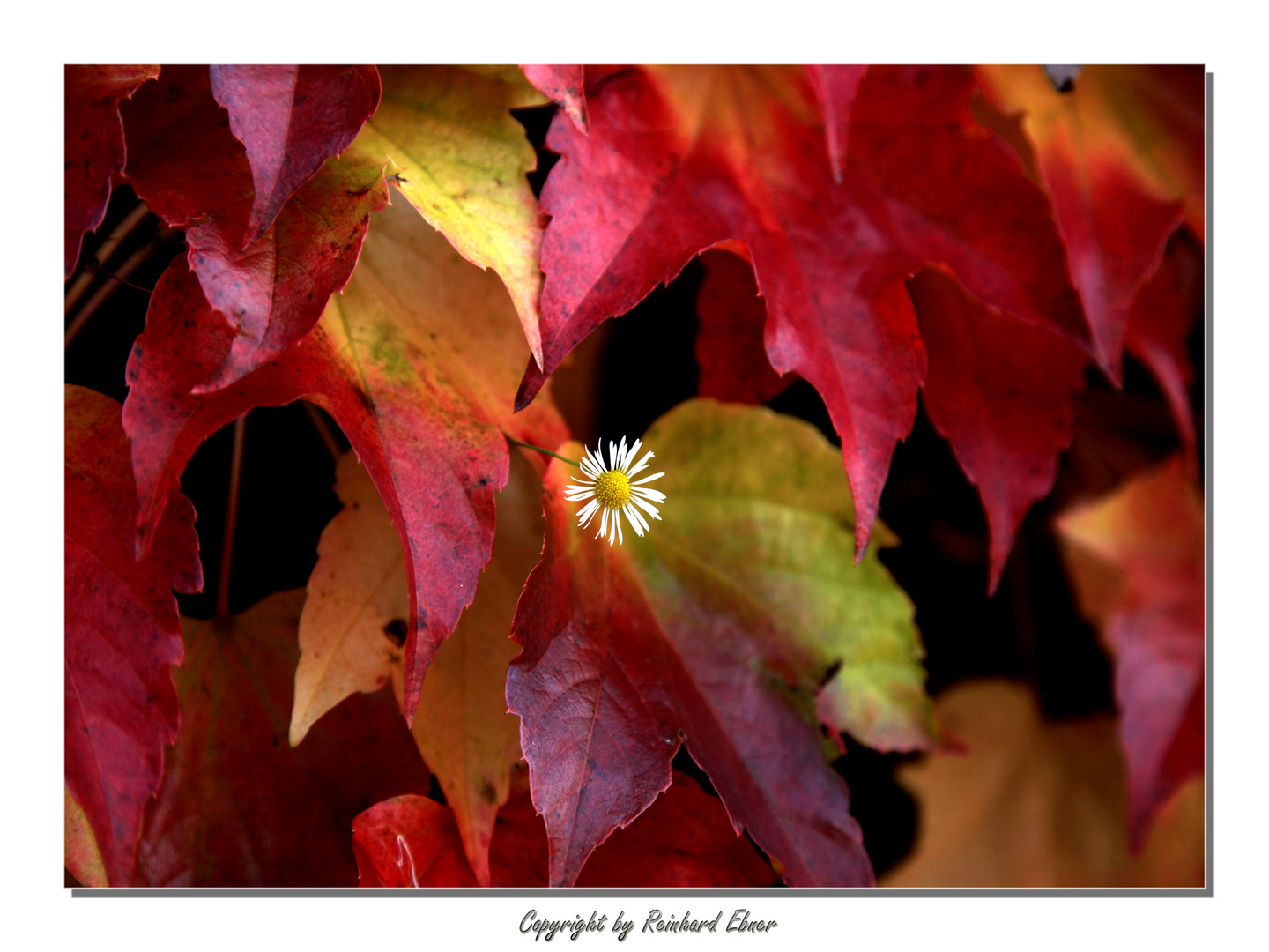 Herbstzeit