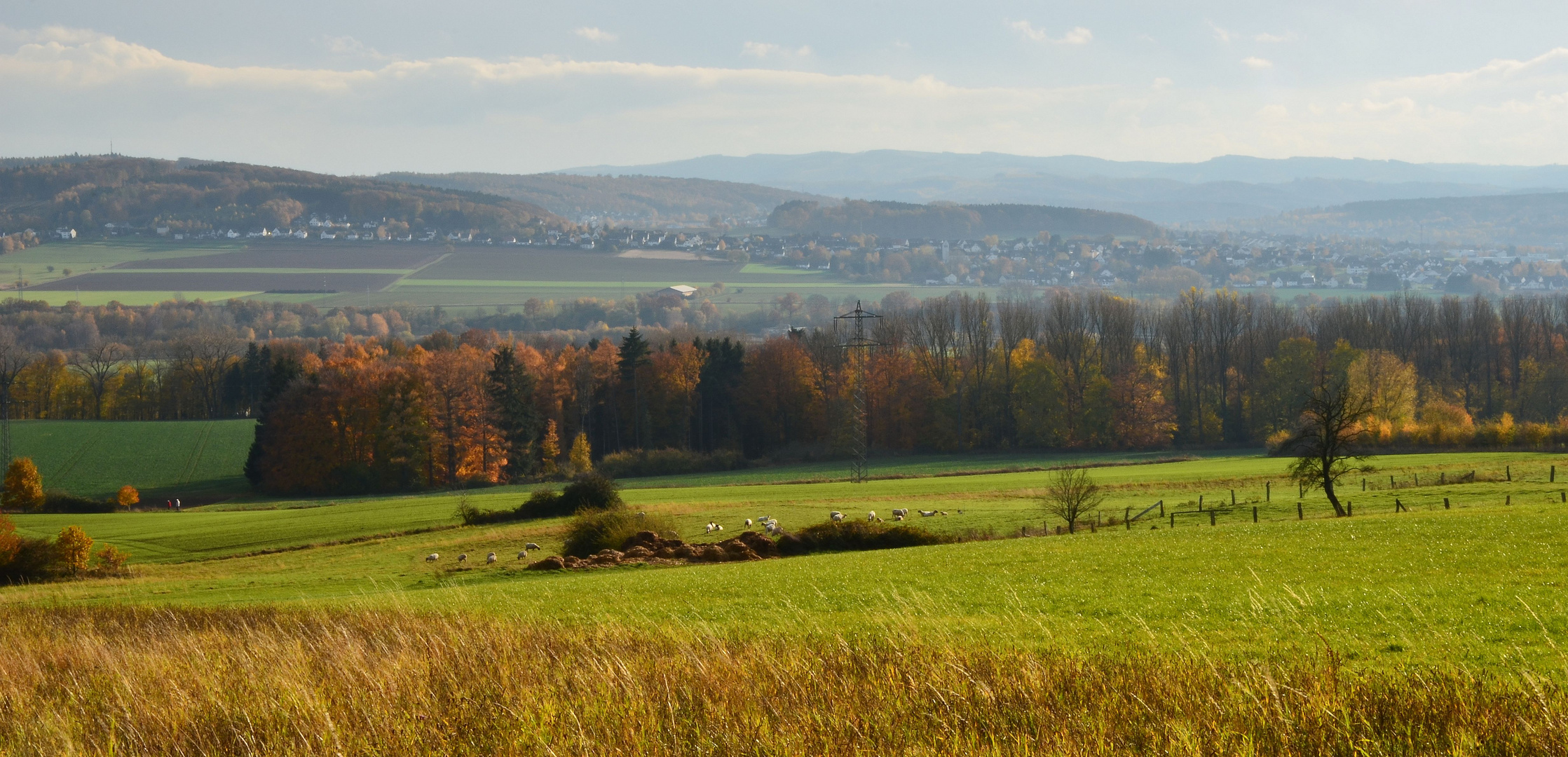 Herbstzeit !