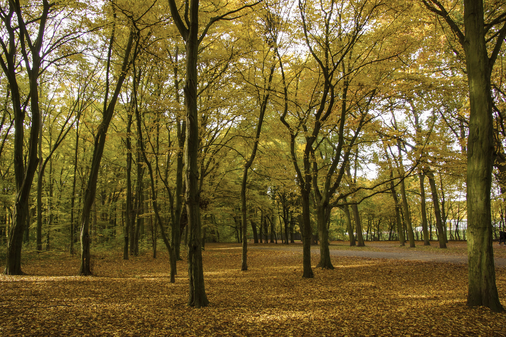 Herbstzeit