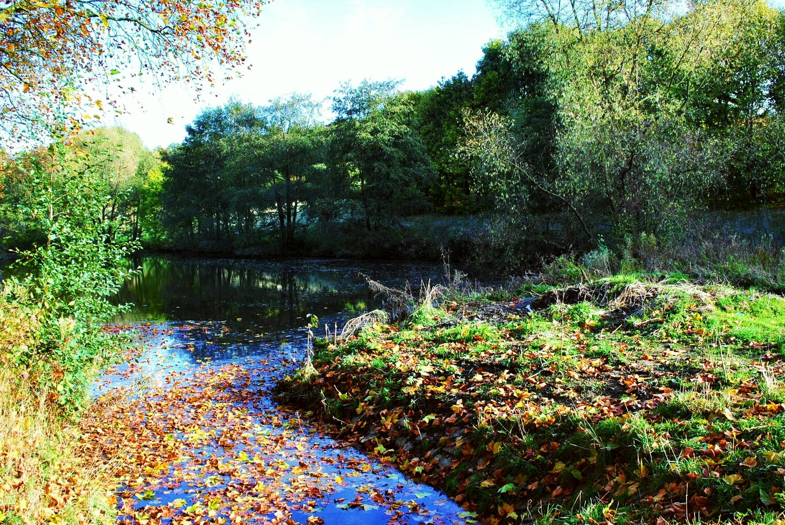 Herbstzeit