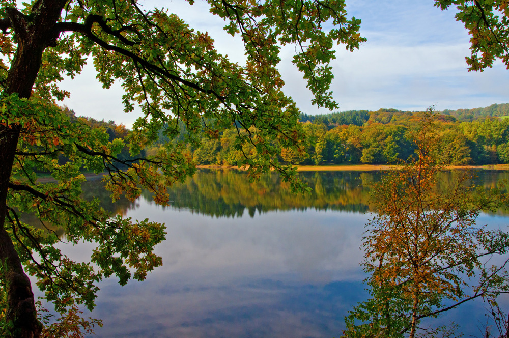 Herbstzeit 2