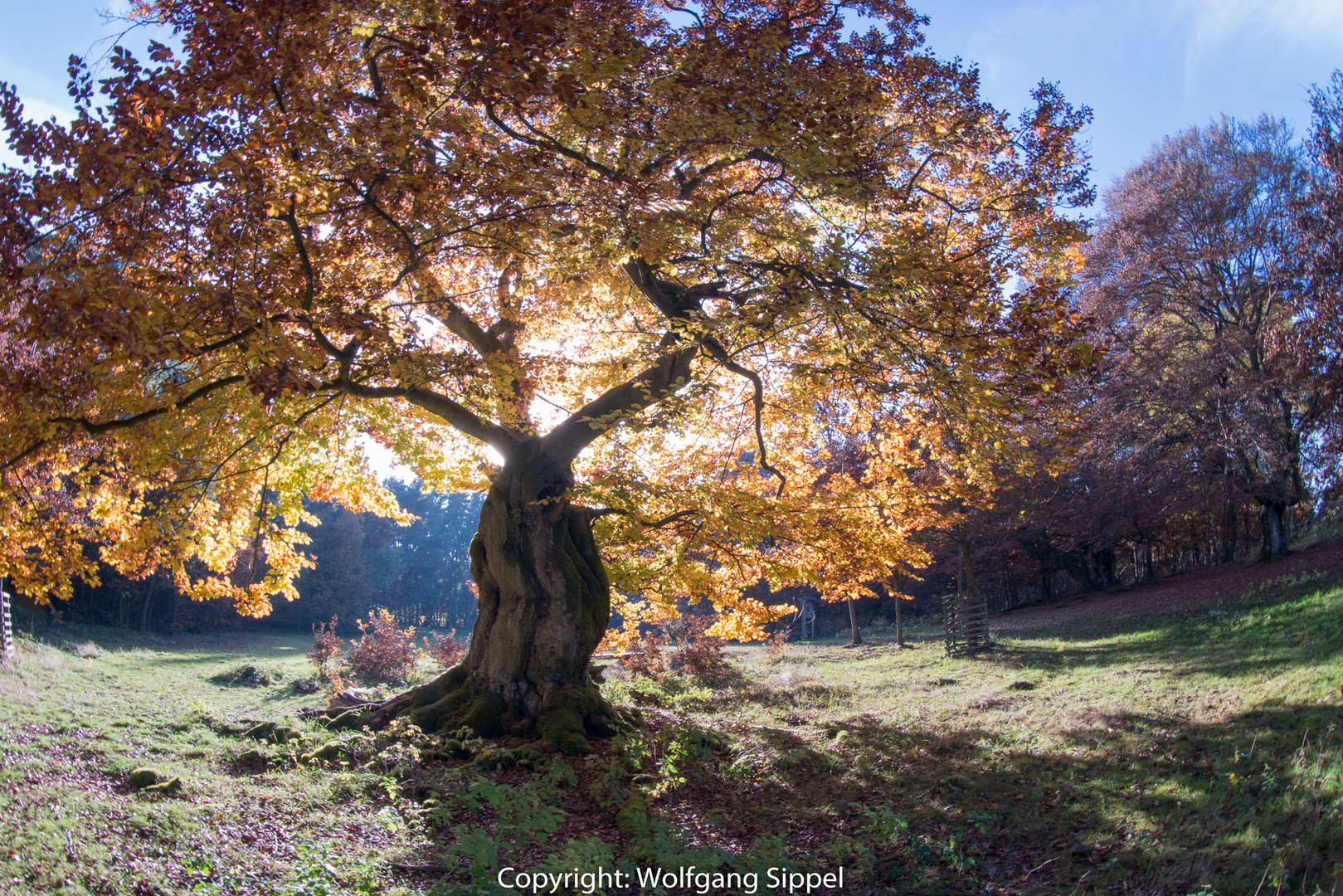 Herbstzeit 2