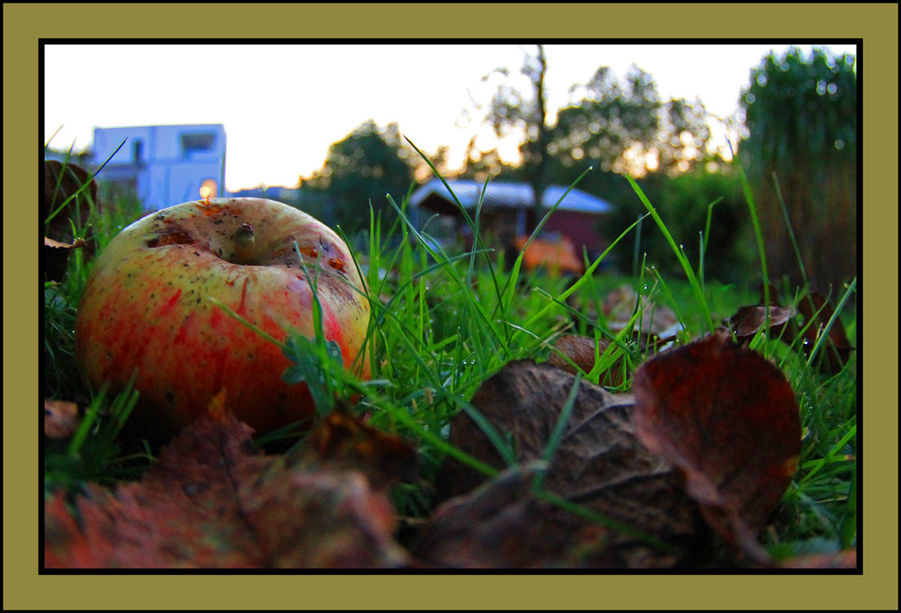 Herbstzeit 2010 / 1