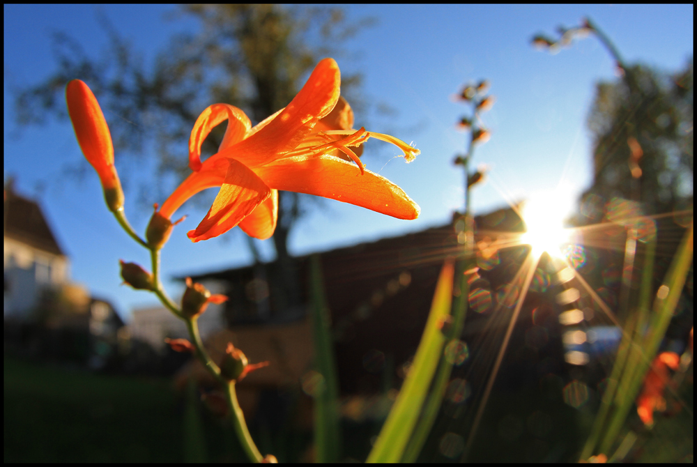 Herbstzeit 2010 / 4