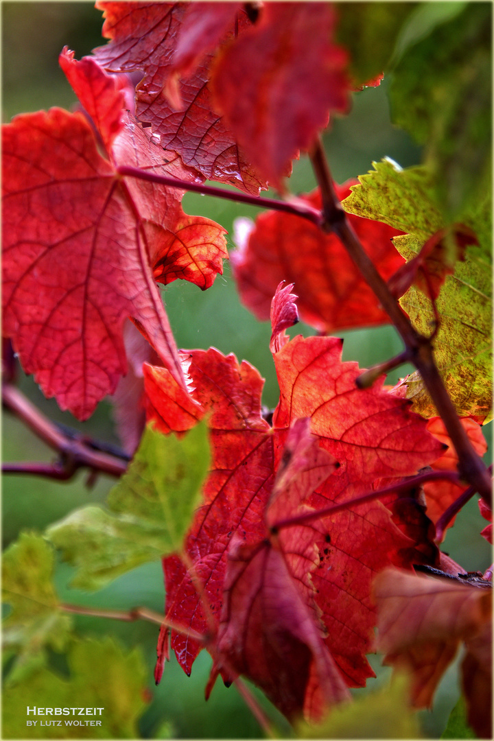 Herbstzeit ... 2017