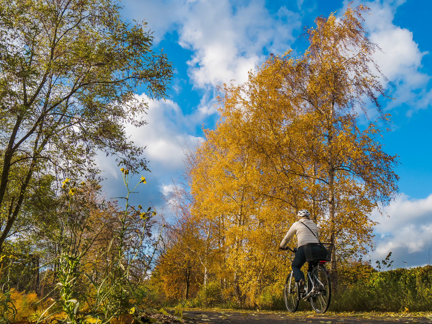 Herbstzeit (22)