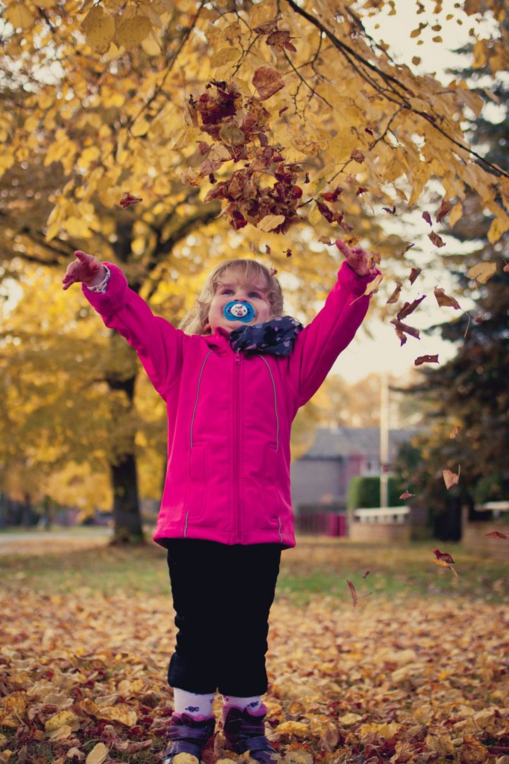 Herbstzeit