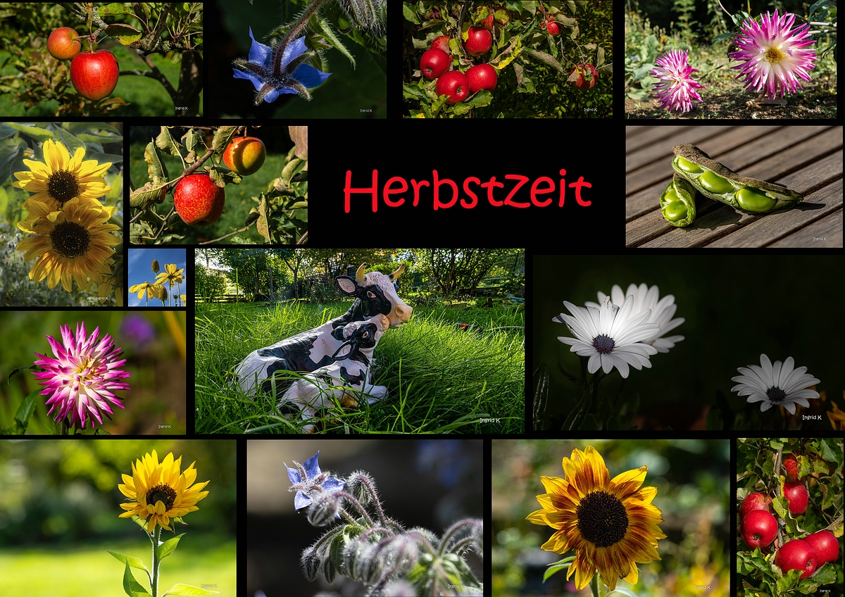 Herbstzeit 