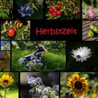 Herbstzeit 