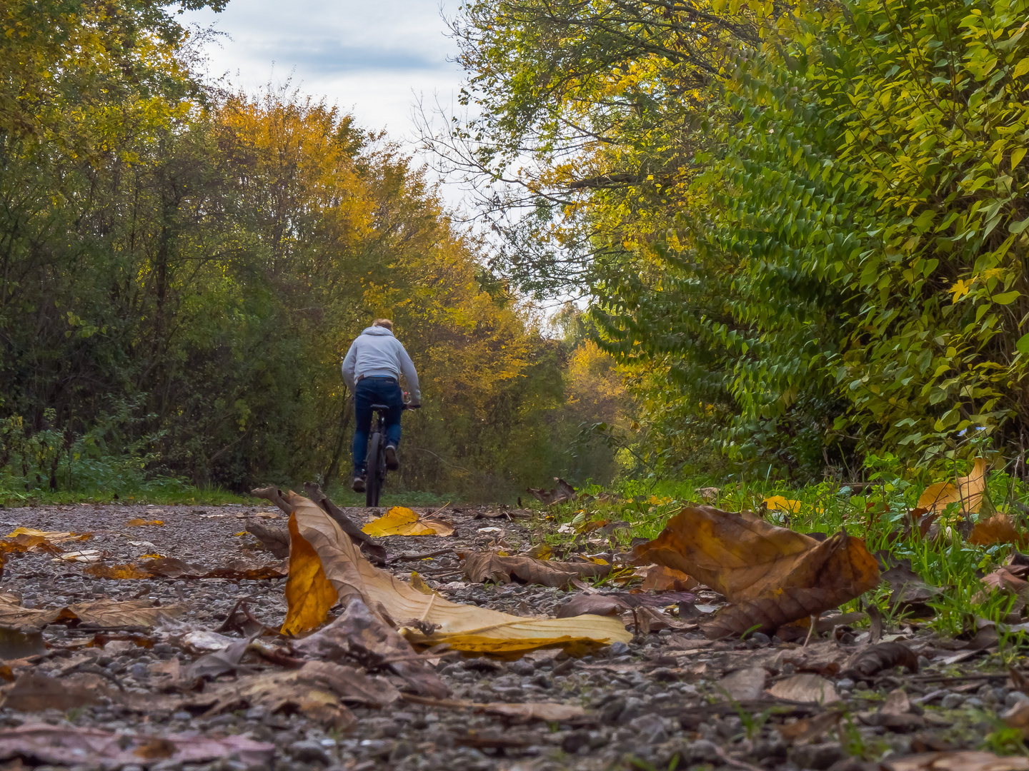 Herbstzeit (28.2)