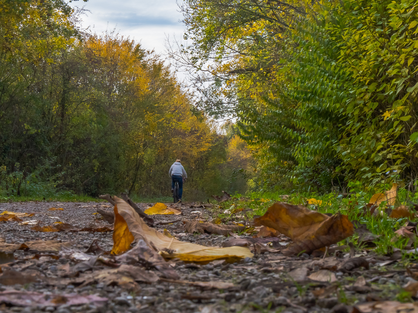 Herbstzeit (28.3)