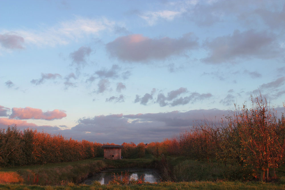 Herbstzeit