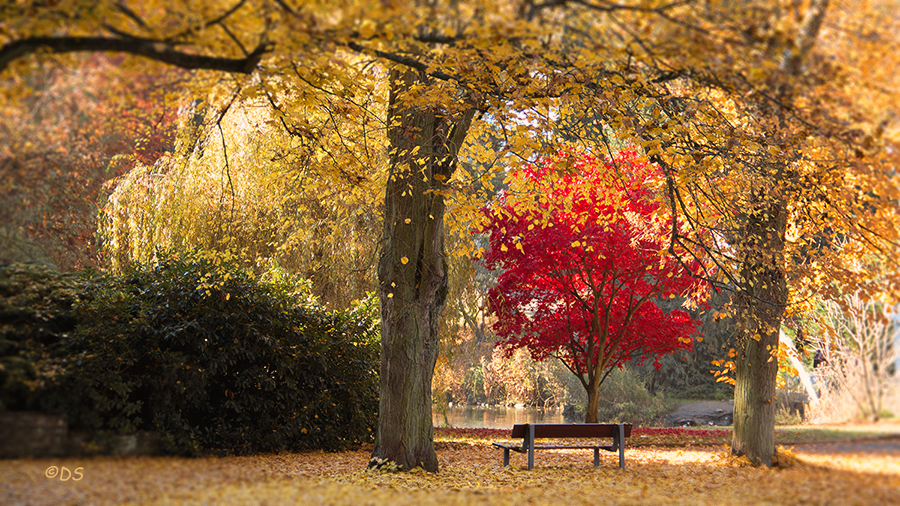 Herbstzeit