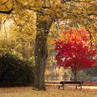 Herbstzeit