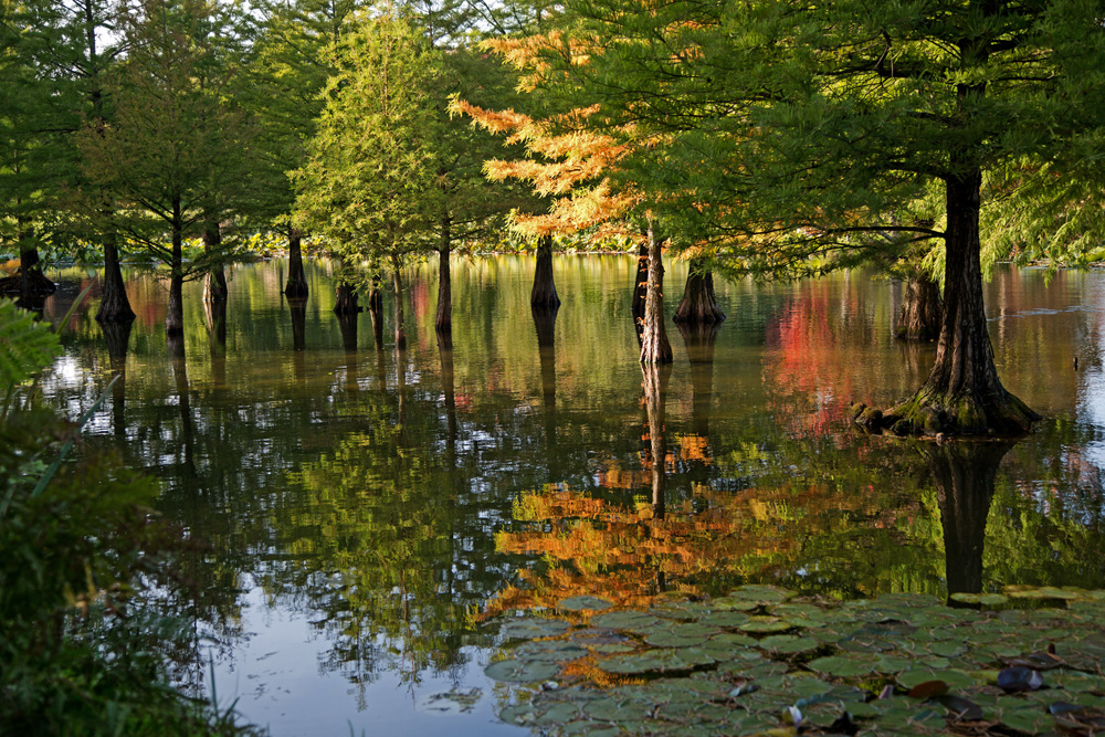 Herbstzeit