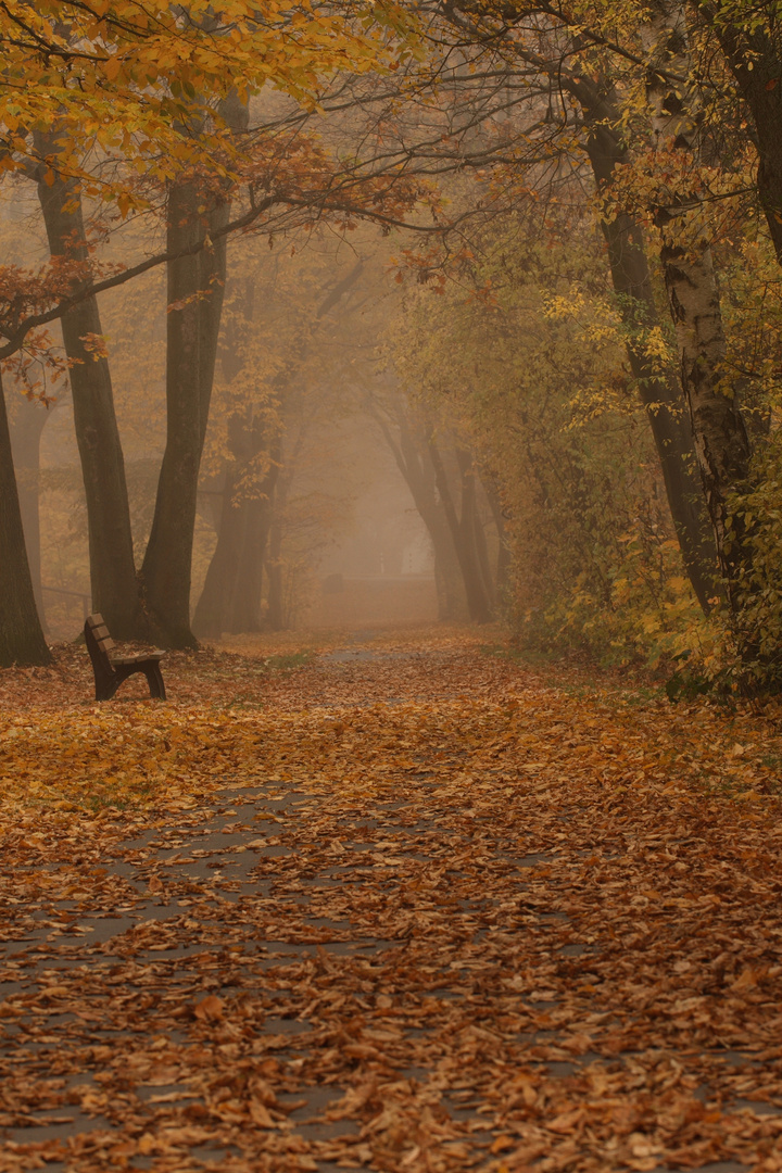 Herbstzeit