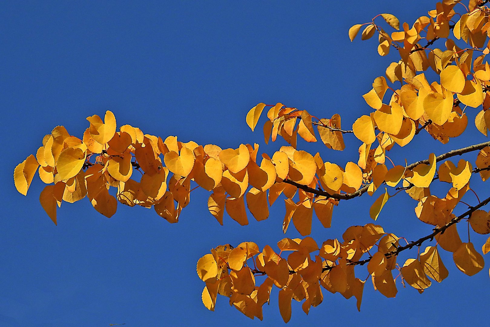 Herbstzeit