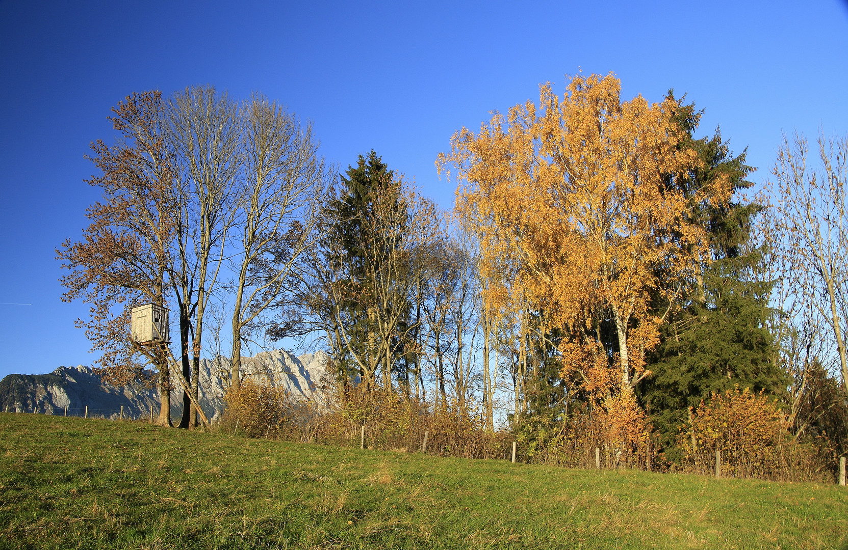 Herbstzeit