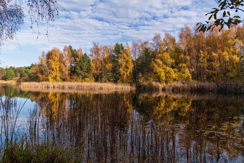 Herbstzeit