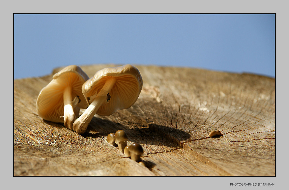 Herbstzeit