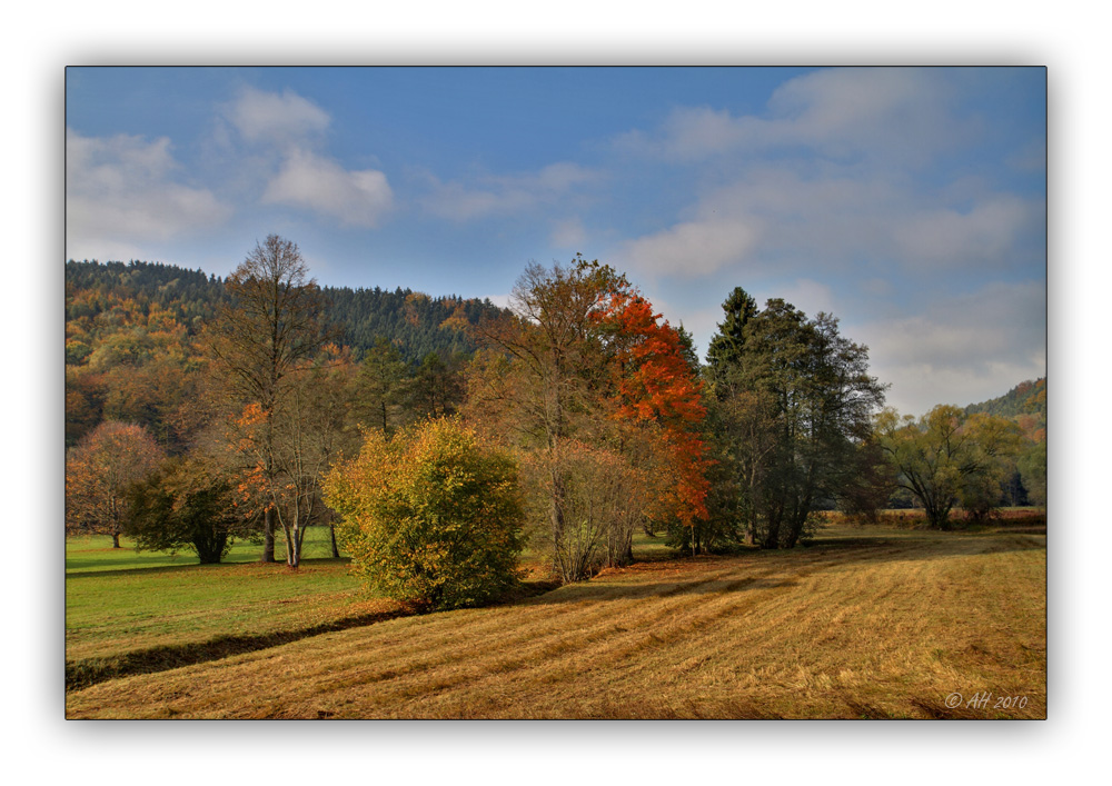 Herbstzeit 4