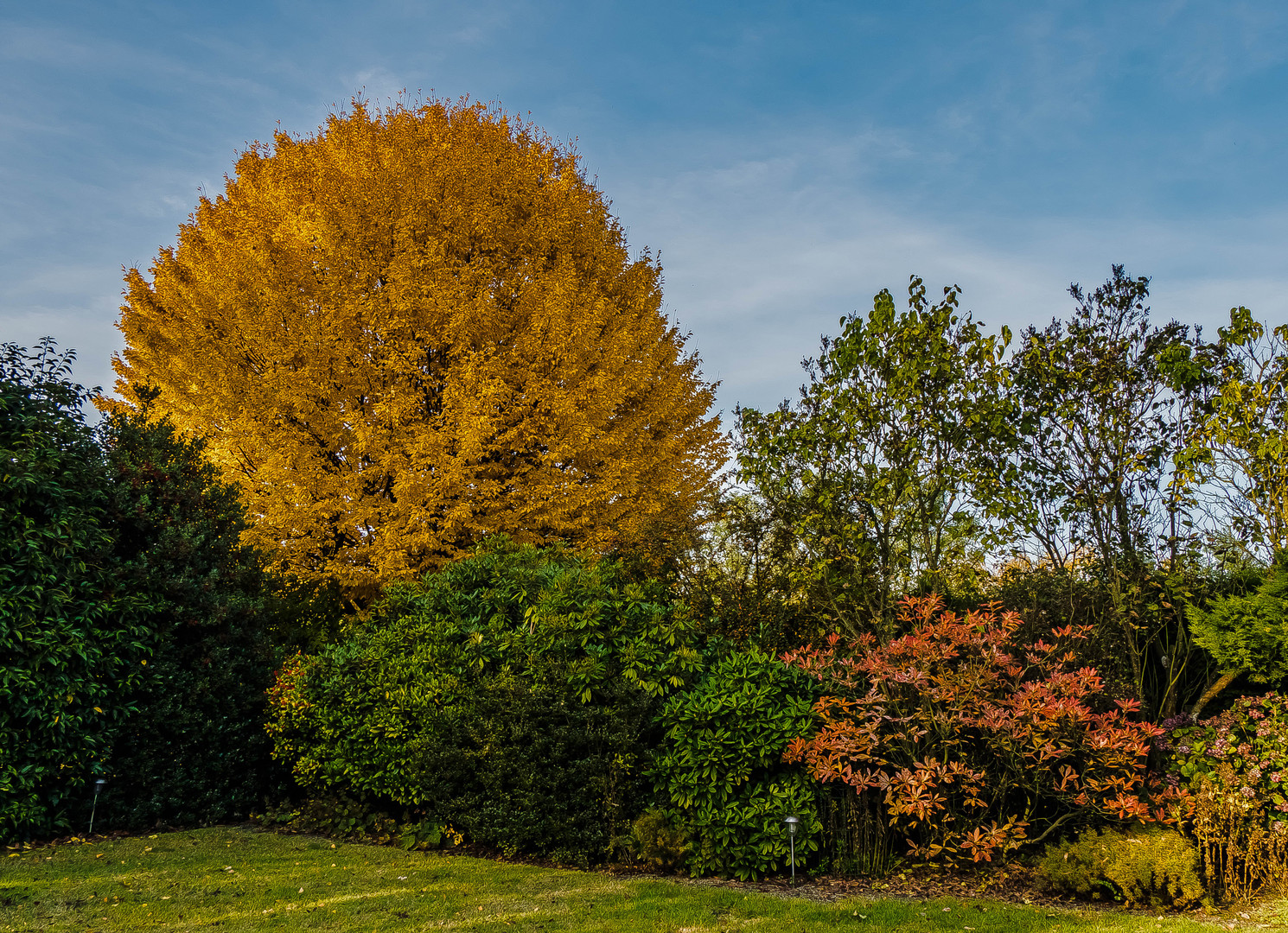 Herbstzeit (4)