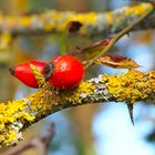 Herbstzeit