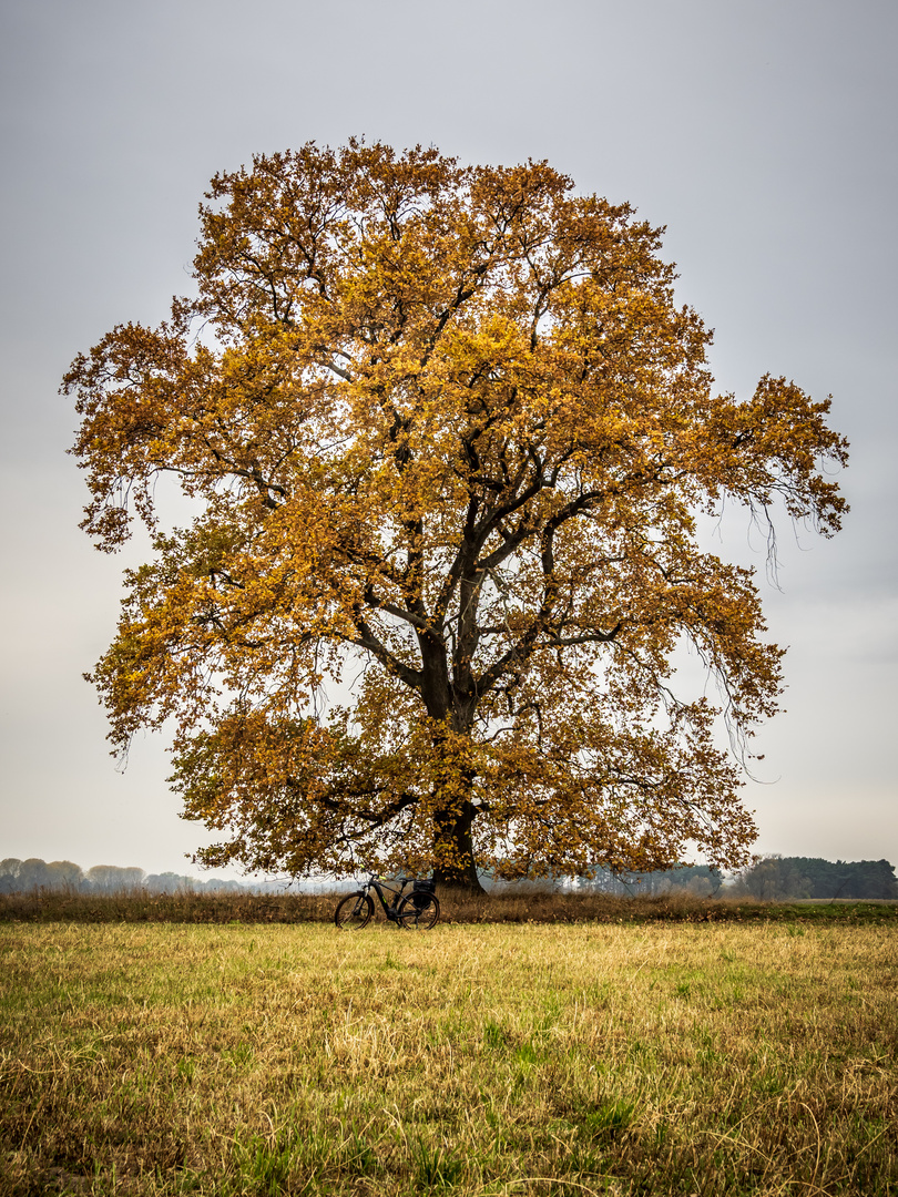 Herbstzeit