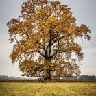 Herbstzeit