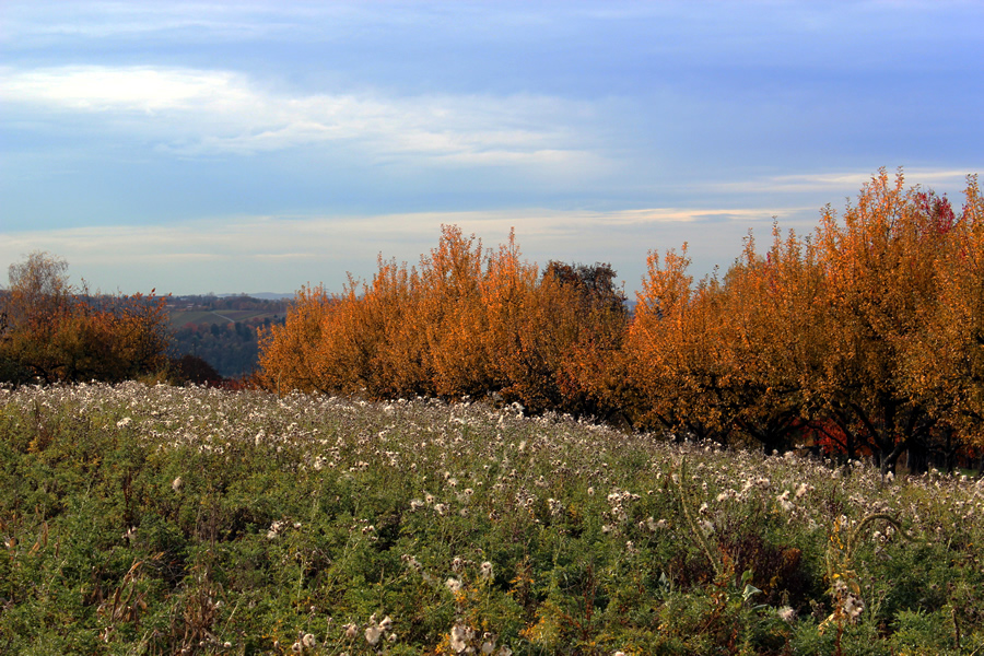 Herbstzeit