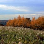 Herbstzeit